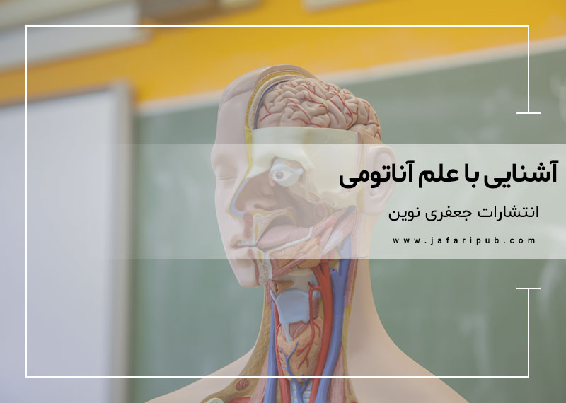 آشنایی با علم آناتومی