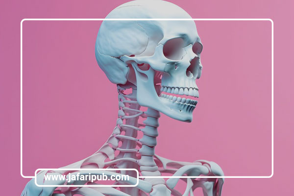 آناتومی عملکردی بدن انسان چیست؟