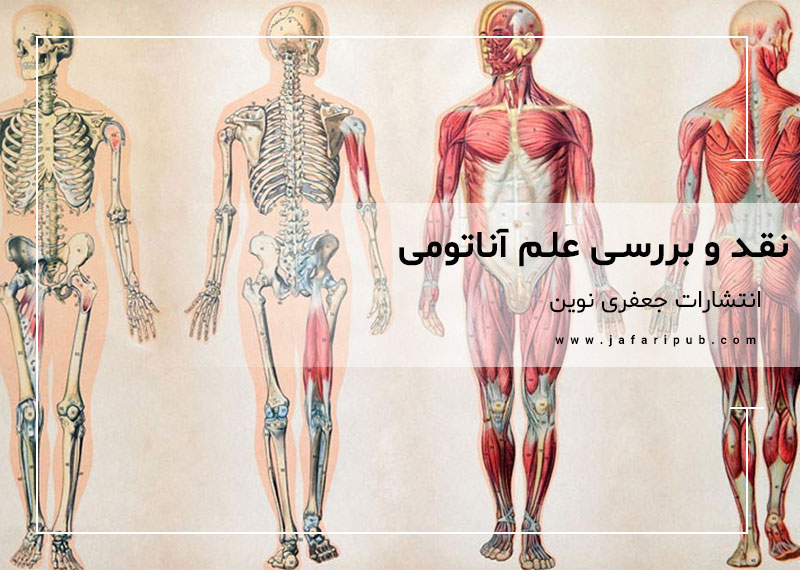 نقد و بررسی علم آناتومی