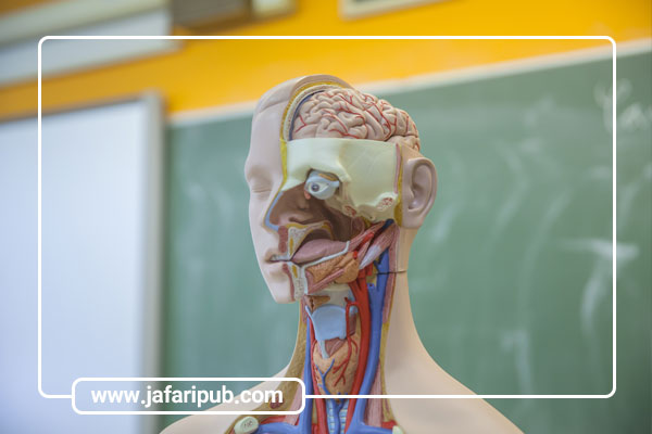 ارتباط فیزیولوژی با پاتولوژی