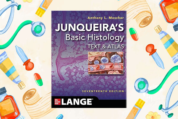 بررسی کیفیت و کاربرد تصاویر و شکل‌ها