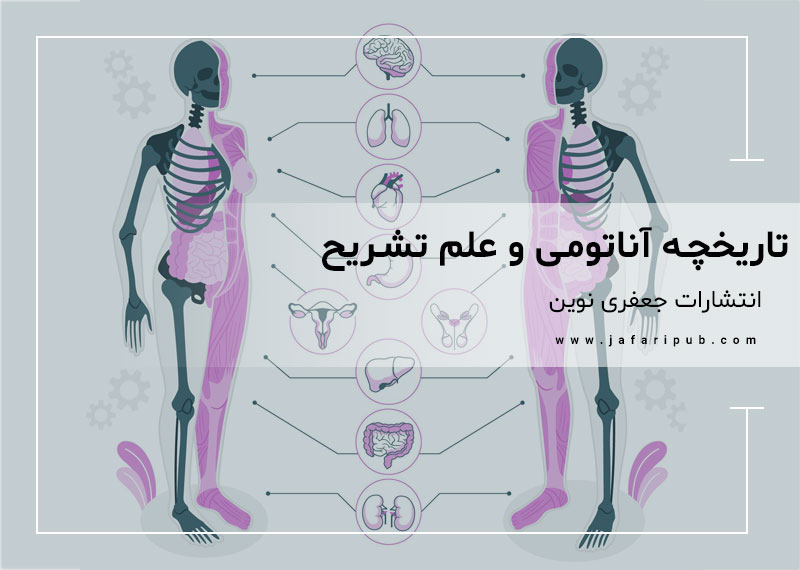 تاریخچه آناتومی و علم تشریح