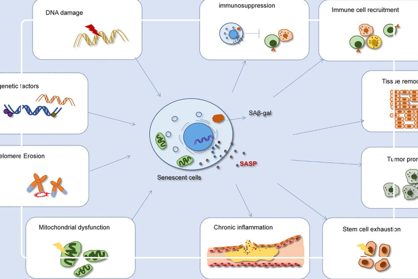 تحولات علمی و روش‌های درمانی جدید