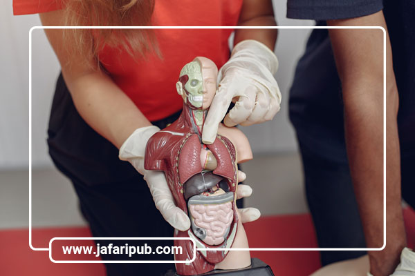 سیستم‌های بیولوژیکی در علم فیزیولوژی