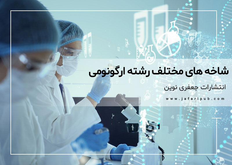 شاخه های مختلف رشته ارگونومی