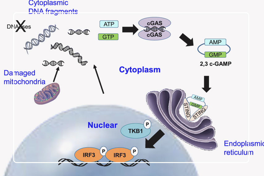 شناخت درمان‌های ضد پیری 