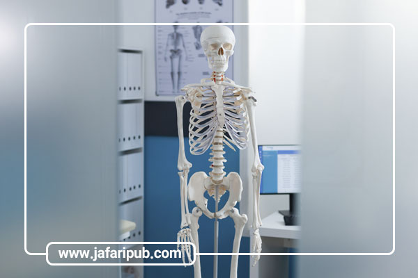 فیزیولوژی چیست