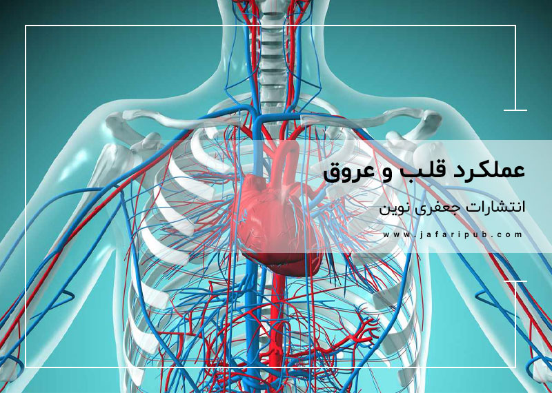 عملکرد قلب و عروق