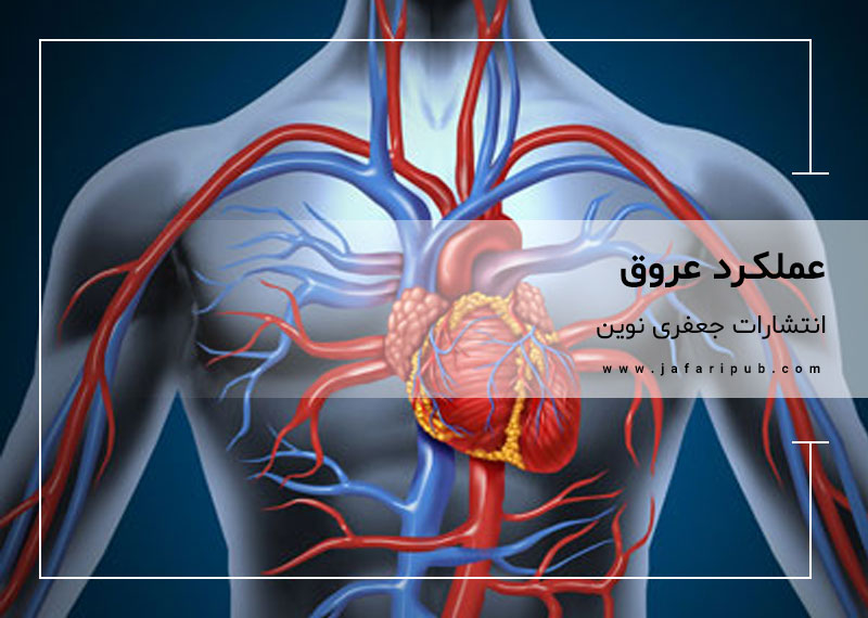 عملکرد عروق