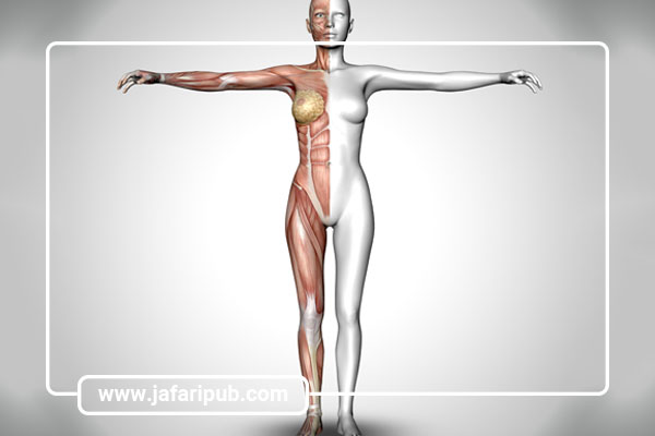 فیزیولوژی یا آناتومی