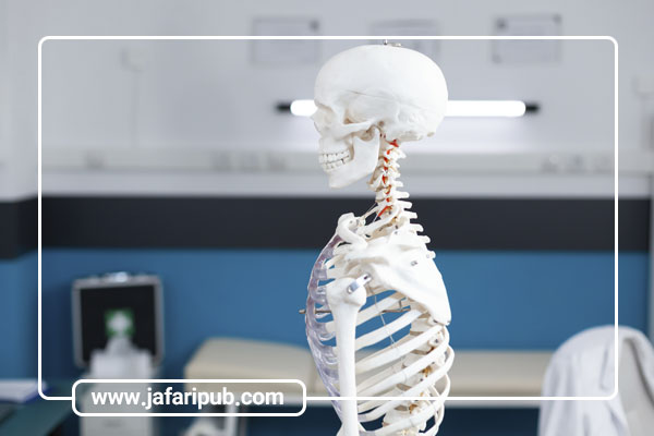 نقش فیزیولوژی در پزشکی