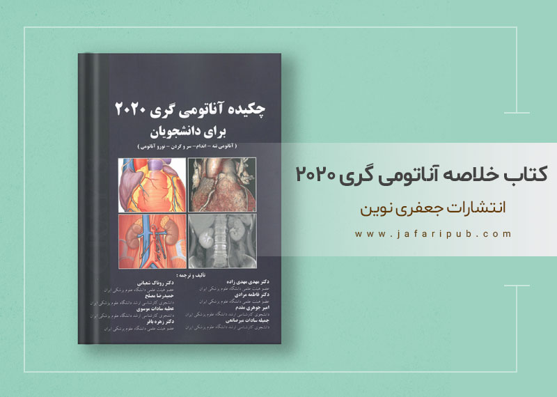 کتاب خلاصه آناتومی گری برای دانشجویان