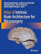 Atlas of Intrinsic Brain Architecture for Microsurgery | اطلس معماری ذاتی مغز برای جراحی میکروسکوپی