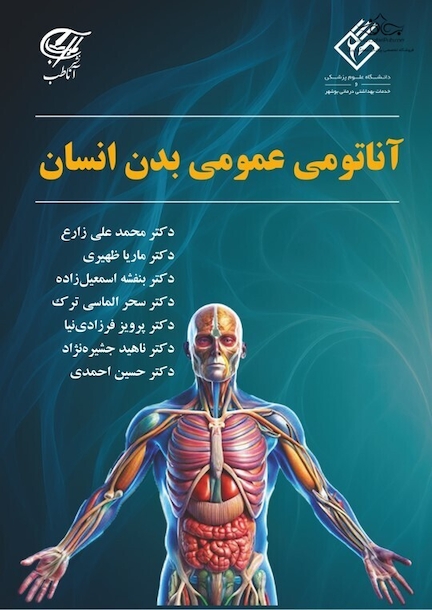 آناتومی عمومی بدن انسان