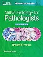 Mills's Histology for Pathologists Sixth Edition | بافت شناسی میلز برای آسیب شناسان، ویرایش ششم