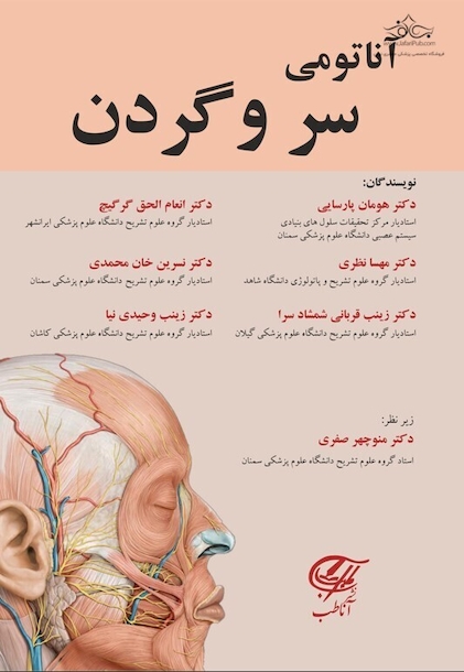 آناتومی سر و گردن