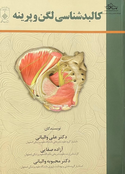 کالبد شناسی لگن و پرینه دکتر والیانی