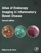 Atlas of Endoscopy Imaging in Inflammatory Bowel Disease 2nd Edition | اطلس تصویربرداری آندوسکوپی در بیماری التهابی روده، ویرایش دوم