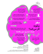 مغز چگونه کار میکند