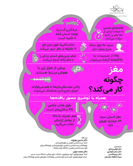 مغز چگونه کار میکند