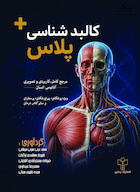 کالبد شناسی پلاس (نگاه سریع به آناتومی)