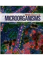 Brock Biology of Microorganisms | میکروبیولوژی براک زیست شناسی میکروارگانیسم ها2021
