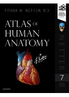 Atlas of Human Anatomy (Netter Basic Science) | کتاب اطلس آناتومی انسان نتر