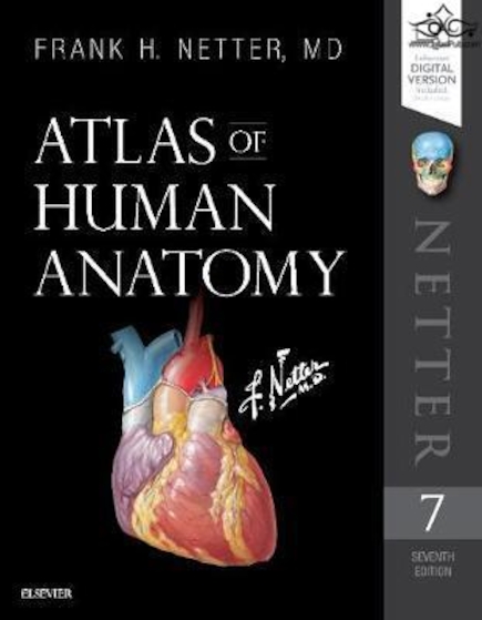 Atlas of Human Anatomy (Netter Basic Science)