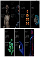 USMLE Step 1 Lecture Notes 2021یادداشت های سخنرانی USMLE مرحله 1