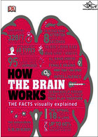 How the Brain Works: The Facts Visually Explained (How Things Work)2020 | چگونه مغز کار می کند: حقایق بصری توضیح داده شده
