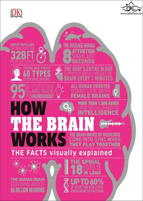 How the Brain Works: The Facts Visually Explained (How Things Work)2020  DK 
