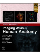 Weir & Abrahams’ Imaging Atlas of Human Anatomy | اطلس تصویربرداری آناتومی انسان 2021