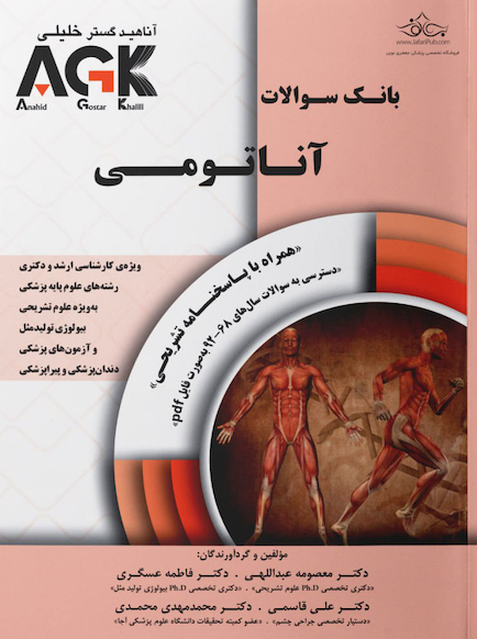 IQB آناتومی