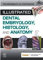 Illustrated Dental Embryology, Histology, and Anatomy | جنین شناسی ، بافت شناسی و آناتومی دندان مصور