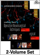 Schmidek and Sweet: Operative Neurosurgical Techniques 2-Volume Set: Indications, Methods and Results2021