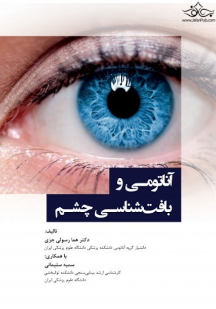 آناتومی و بافت شناسی چشم