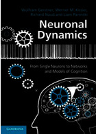 Neuronal Dynamics: From Single Neurons to Networks and Models of Cognition 1st Edition | دینامیک عصبی: از تک نورون ها تا شبکه ها و مدل های شناخت