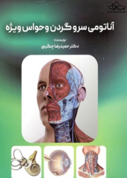 آناتومی سر و گردن و حواس ویژه