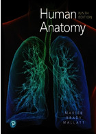 Human Anatomy2019 | آناتومی انسان