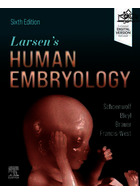 Larsen's Human Embryology2021 | جنین شناسی انسانی لارسن