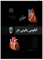 آناتومی بالینی نتر 2019