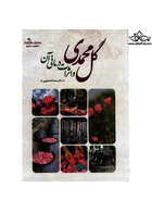 گل محمدی و اثرات درمانی آن