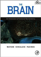 The Brain: An Introduction to Functional Neuroanatomy 1st Edición | مغز: مقدمه ای بر نوروآناتومی عملکردی