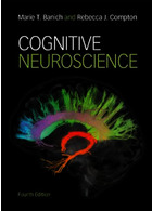 Cognitive Neuroscience 4th Edición | کتاب علوم اعصاب شناختی
