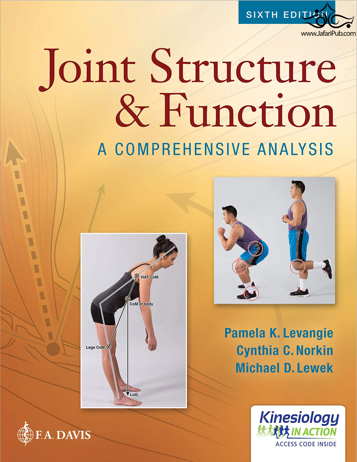 Joint Structure and Function: A Comprehensive Analysis Sixth Edición  F.A. Davis Company 