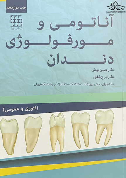 آناتومی و مورفولوژی دندان