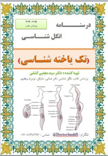 جزوه انگل شناسی ( تک یاخته شناسی )
