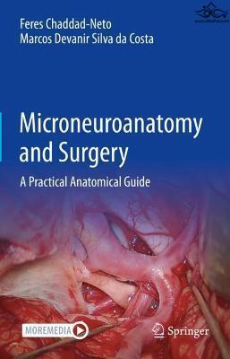 Microneuroanatomy and Surgery : A Practical Anatomical Guide Springer