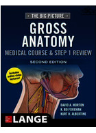 The Big Picture: Gross Anatomy, Medical Course & Step 1 Review, Second Edition | تصویر بزرگ: آناتومی ناخالص