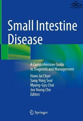 Small Intestine Disease : A Comprehensive Guide to Diagnosis and Management Springer